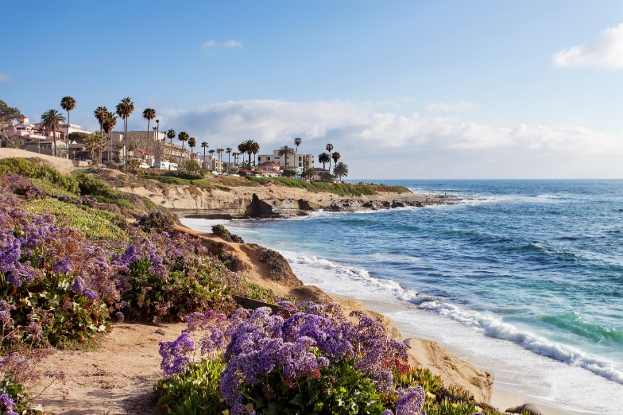 Luxury Homes in La Jolla | Sean Caddell & Associates